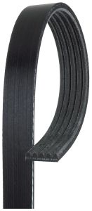 Banda Accesorio Continental 486K5