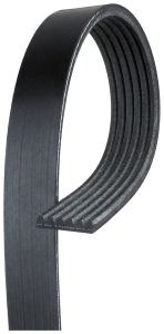 Banda Accesorio Continental 405K6