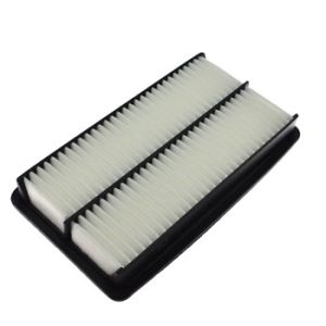 Filtro de Aire Hm9 HMA10013