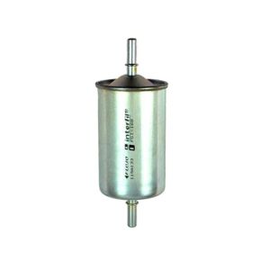 Filtro de Gasolina HM9 FGI168a