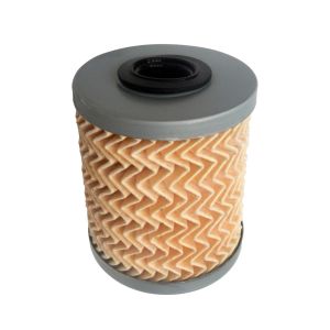 Filtro de Gasolina HM9 FGI264