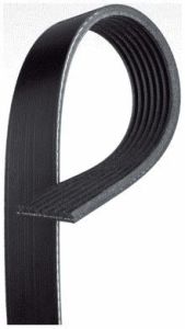 Banda Accesorio Continental 825K7