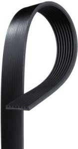 Banda Accesorio Continental 1190k8