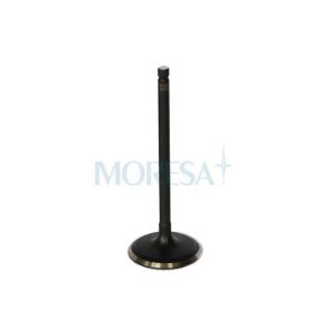 válvula admisión moresa V7123STD