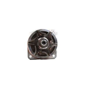 Bomba de Agua HM9 P1661