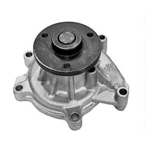 Bomba de Agua HM9 P1891