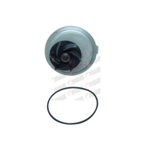 Bomba de Agua HM9 P1901
