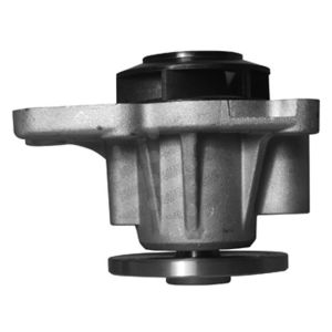 Bomba de Agua HM9 P1982