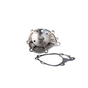 Bomba de Agua HM9 P2042