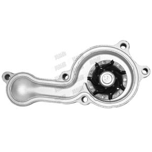 Bomba de Agua HM9 P2059