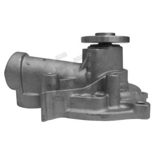 Bomba de Agua HM9 P2097