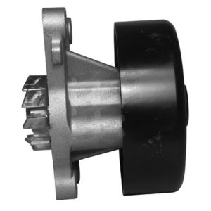 Bomba de Agua HM9 P2118