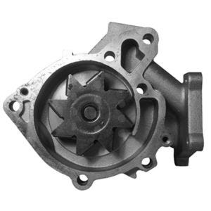 Bomba de Agua HM9 P2171