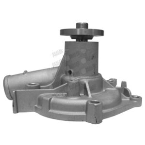 Bomba de Agua HM9 P2218