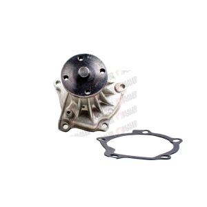Bomba de Agua HM9 P2340