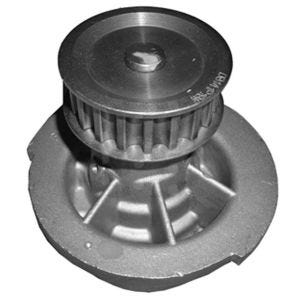 Bomba de Agua HM9 P2364