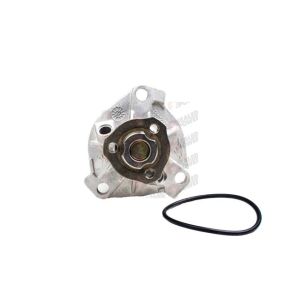 Bomba de Agua HM9 P2397