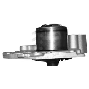Bomba de Agua HM9 P255