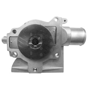 Bomba de Agua HM9 P4107