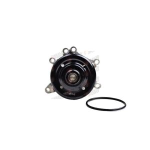 Bomba de Agua HM9 P546
