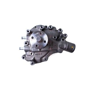 Bomba de Agua HM9 P550