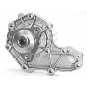 Bomba de Agua HM9 P850