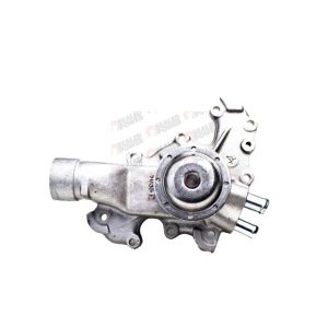 Bomba de Agua HM9 P890