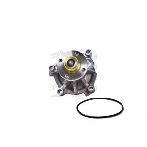Bomba de Agua HM9 P9101