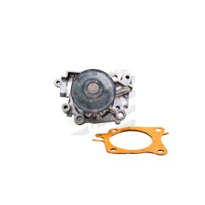 Bomba de Agua HM9 P9171