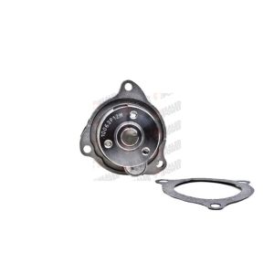 Bomba de Agua HM9 P9173