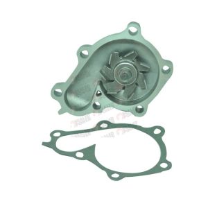 Bomba de Agua HM9 P9176