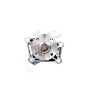 Bomba de Agua HM9 P9385