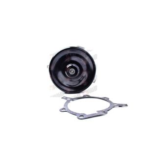 Bomba de Agua HM9 P986