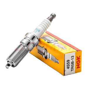 Bujía Ngk TR5B13